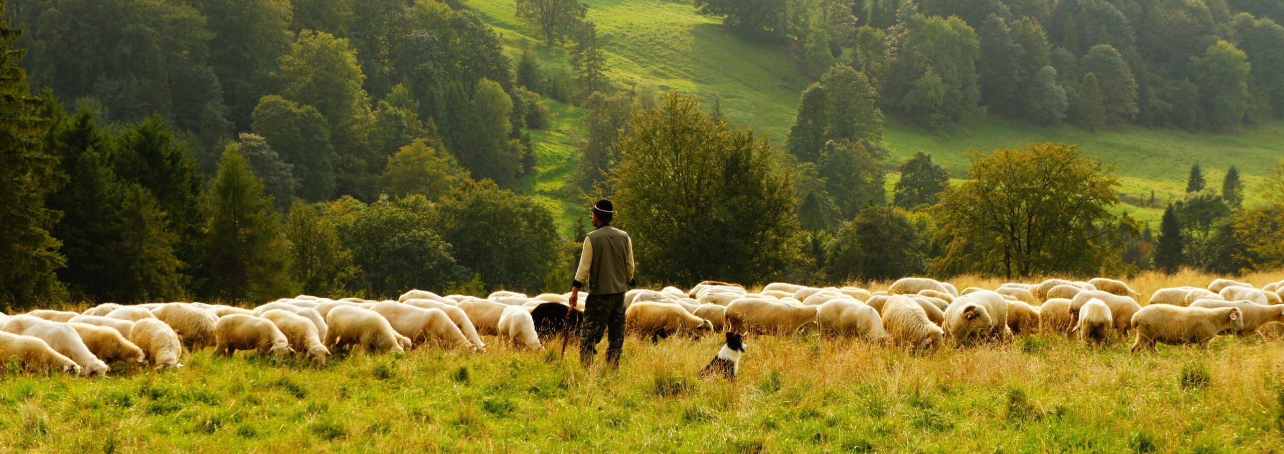 Bio en Normandie Manger Bio et local en Normandie