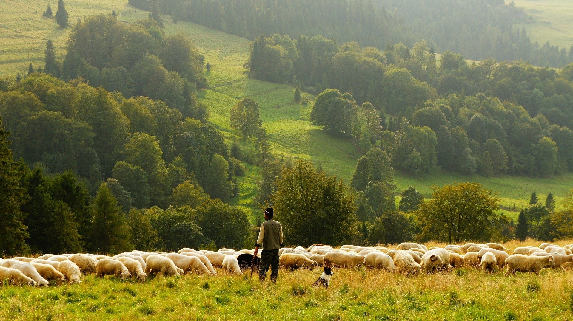 Bio en Normandie