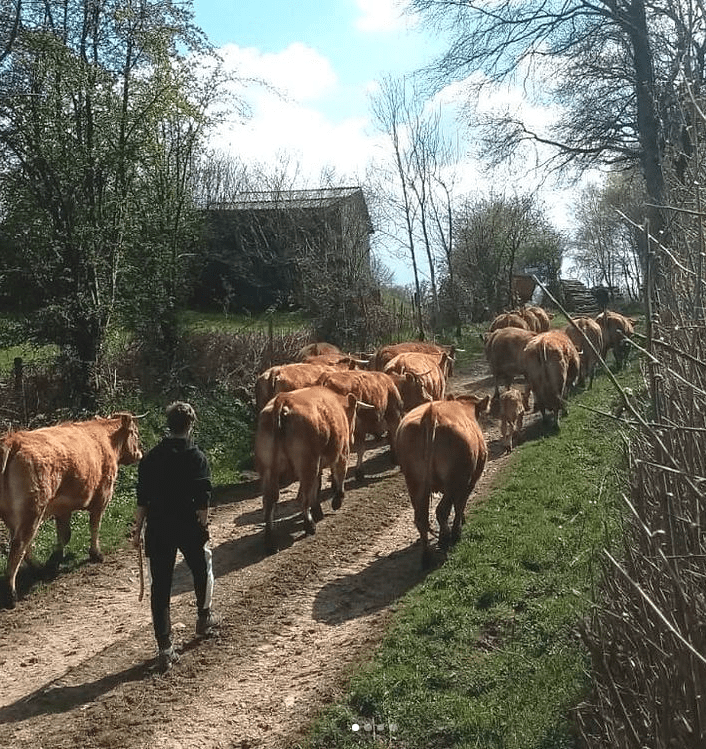 La ferme des pâtures