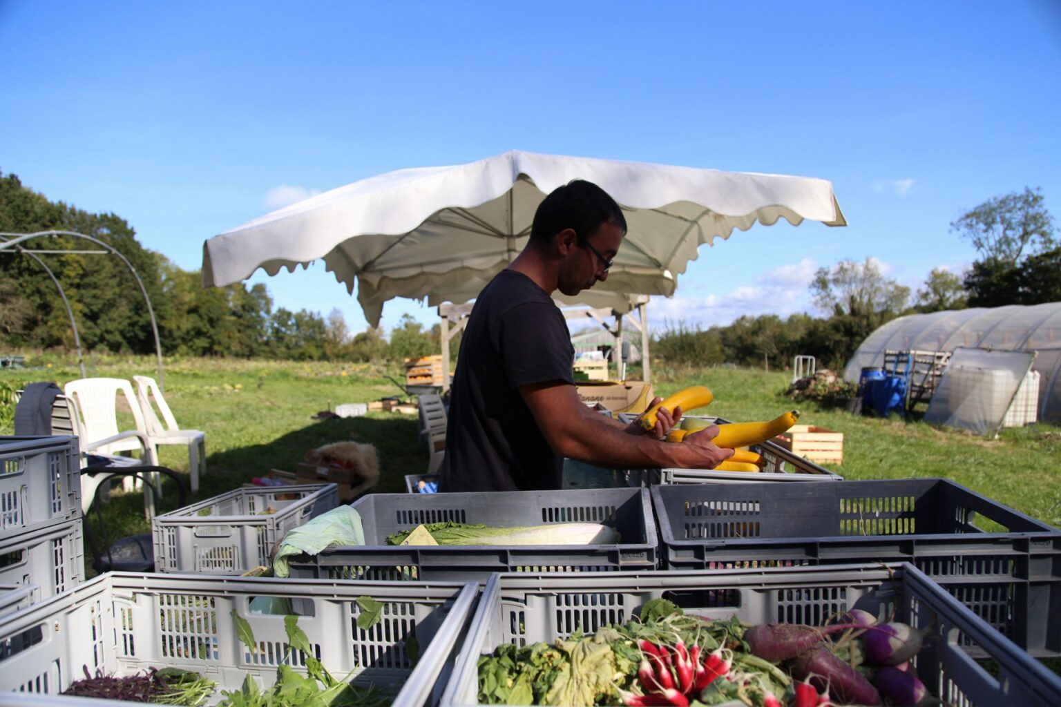 Akal Food Ferme Fleur De Spiruline Saint Pierre Azif