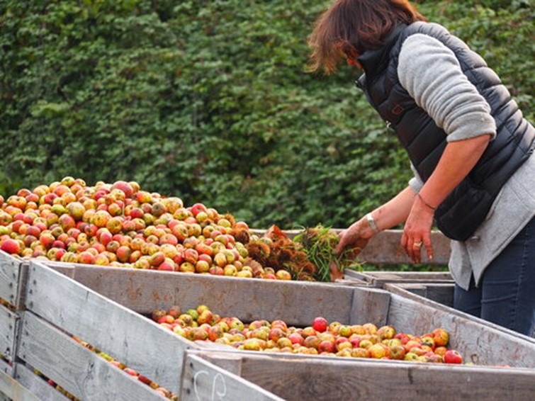 MANOIR D’APREVAL Manger Bio Local en Normandie