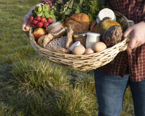 Panier Manger Bio et Local Un panier contenant des produits avec les mains d'un producteur portant le panier montrant la diversité de la production agricole bio normande. Le panier contient des fruits, des légumes, des produits laitiers, de la confiture, de la terrine. Photo pour la campagne Manger Bio & Local de Bio en Normandie.